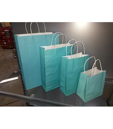 Blue Paper Bags with Carry Handle