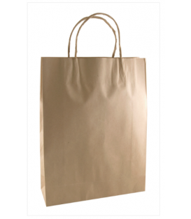 Brown small Paper Carry Bag Portrait 