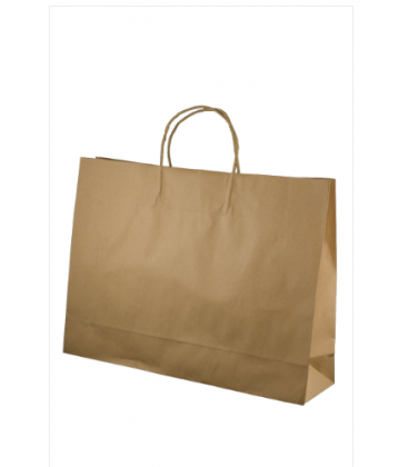 Brown  boutique Paper Carry Bag Portrait 