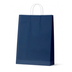 Navy  large paper carry bag