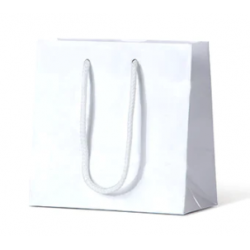 Laminated Gloss Paper Bag, Carton 200